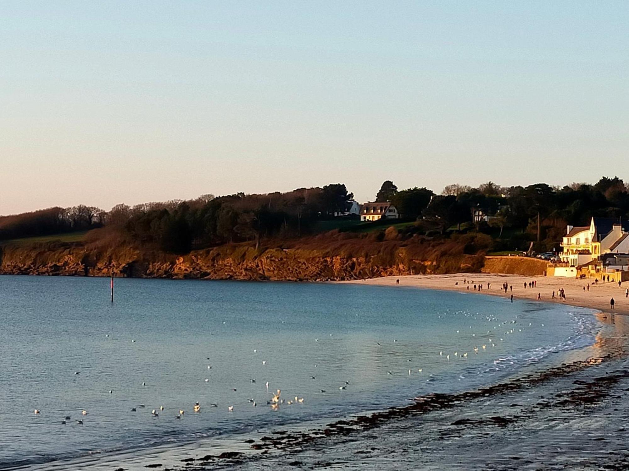 L'Elephant Blanc De Concarnoloc Concarneau Pokoj fotografie